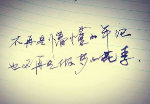詩句,難行,感嘆,道路