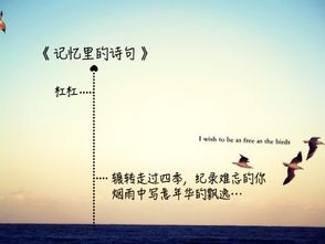 關(guān)于時(shí)間記憶的詩句