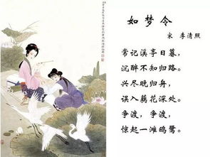 如夢令的古詩詩句