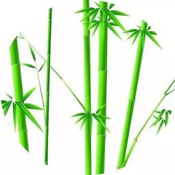 關(guān)于春天竹子的詩句