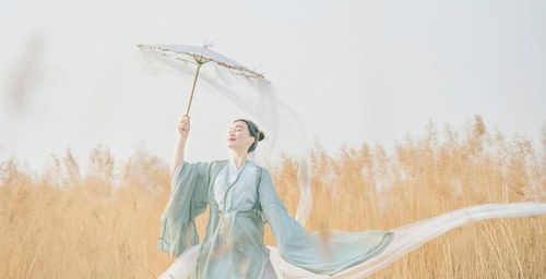 有關于思鄉(xiāng)心切的詩句