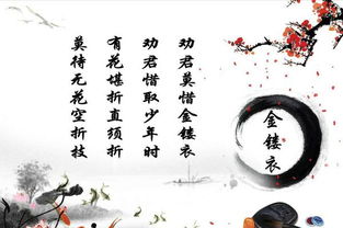 詩(shī)句,含有