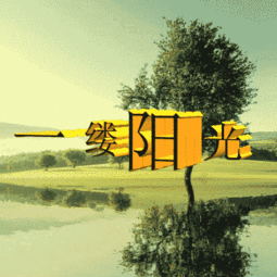 關(guān)于那一縷陽光詩句