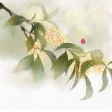 描寫關(guān)于桂花的古詩句