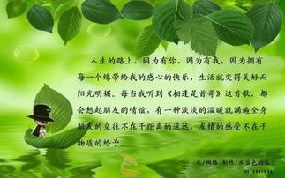 友誼,詩句,發(fā)展