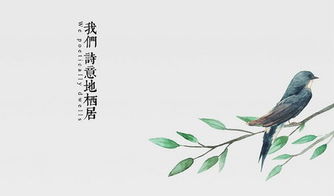 關(guān)于善待的詩句