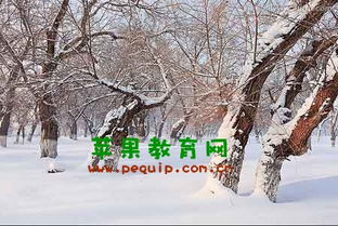 詩句,冬天