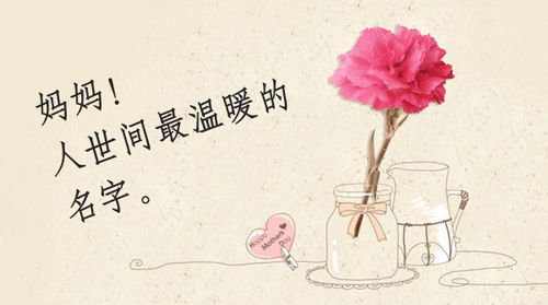 贊美母親生日的短詩句,思念亡母親的短詩句,贊美母親的詩句