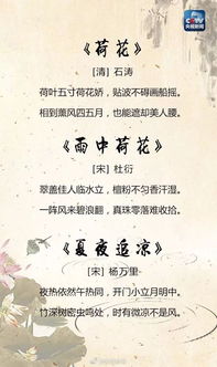 描寫小學(xué)夏天的詩句古詩