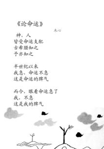 關(guān)于寫命運(yùn)的詩句