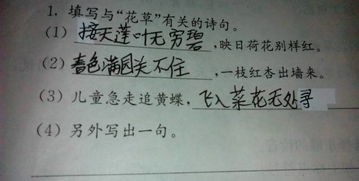 關(guān)于花草詩句2句