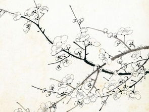 作業(yè),詩(shī)句,梅花