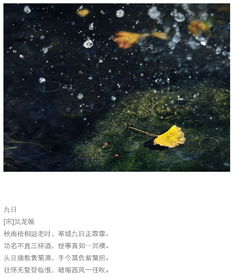 關于秋雨的詩句的古詩詞