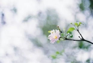 釋然古詩句