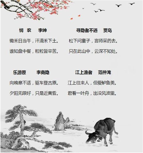 小學(xué)古詩中膾炙人口的詩句