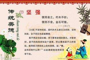 關(guān)于堅(jiān)韌名言或詩句