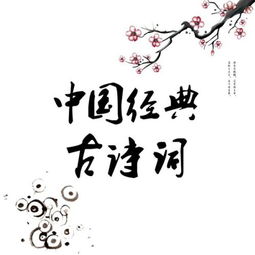 古詩對楊志的評價詩句