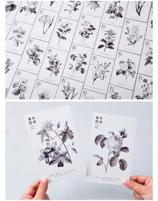 關于草木的詩句古詩,描寫春天的詩句古詩,描寫荷花的詩句古詩