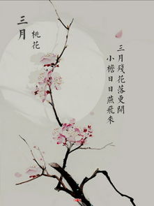 古詩帶有春花的詩句