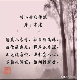 古詩(shī)句對(duì)偶句,古詩(shī)句對(duì)偶初一,古詩(shī)是對(duì)偶還是對(duì)仗