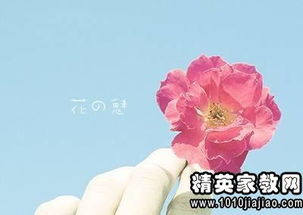 關(guān)于寂寞孤獨(dú)無聊的詩(shī)句