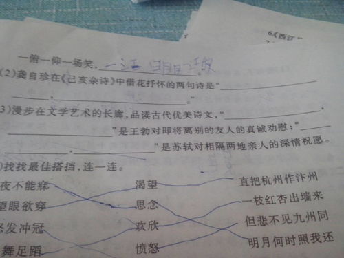 借酒抒懷的古詩句