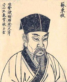 關(guān)于蘇軾荷花的詩句