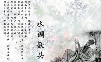 古詩中含飛的詩句