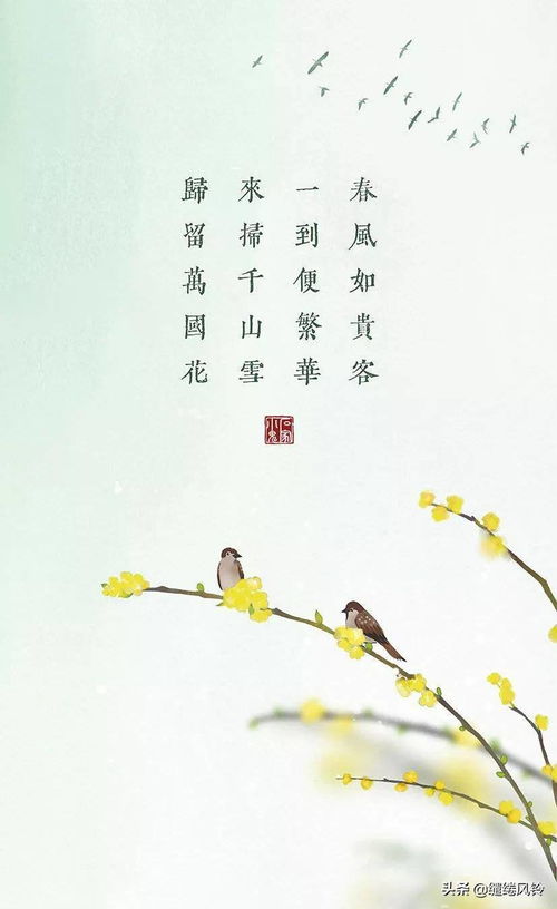 關(guān)于花春的詩句古詩大全