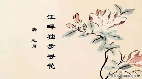 關于浣的詩句