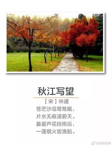 描寫秋天的古詩和古詩詞,關(guān)于描寫秋天的古詩句,描寫秋天的優(yōu)美古詩句