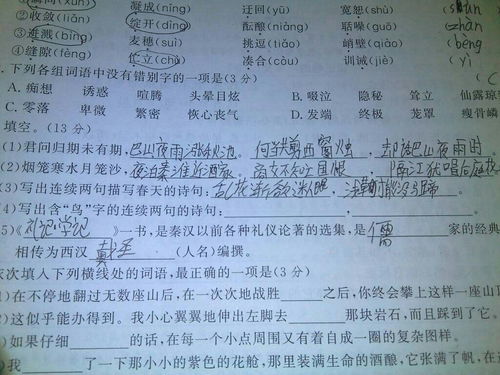 兩句關(guān)于鳥的詩句