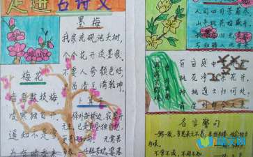 怎么做有古詩句的手抄報大全集
