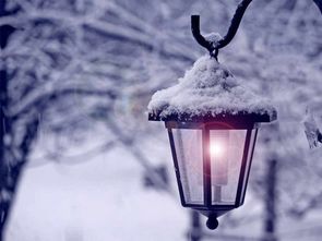 雪天,詩句,孤獨(dú)