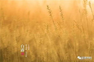 美好風(fēng)景的古詩句