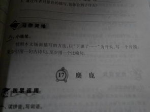 古詩句開頭句段