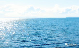關于魚和海的詩句古詩