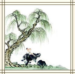 柳樹,詩(shī)句,贊美,有名