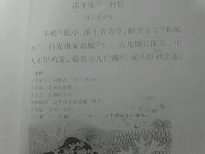 寫風的詩句古詩五級