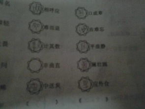 起字結(jié)尾的古詩(shī)句