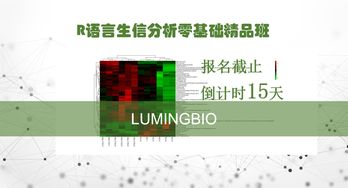 形容腳的重要性的詩句,強調(diào)思想重要性的詩句,強調(diào)農(nóng)業(yè)重要性的詩句