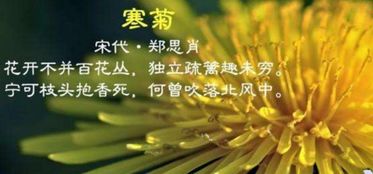 關于愛惜花草的詩句