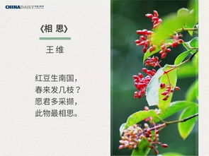 春日古詩中蘊含哲理的詩句