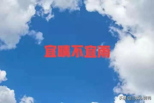 關于晴天好的詩句
