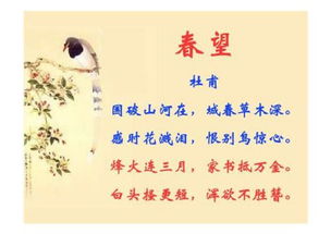 最貴的信古詩詩句