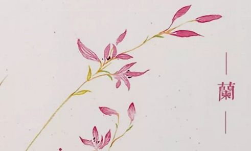 贊美老師的古詩句有哪些,贊美蘭的古詩有哪些,贊美父親的古詩句