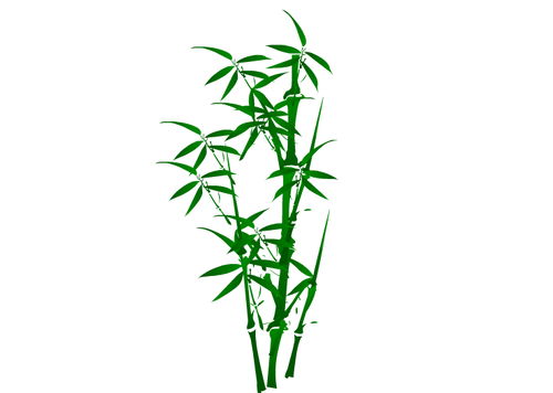 竹子,詩句,女子