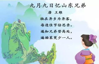 關(guān)于九月九日憶山東兄弟的詩句是什么意思