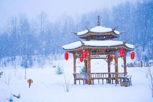 關(guān)于哈爾濱的詩句