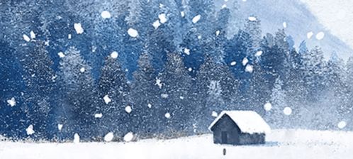 獨(dú)自賞雪的古詩句